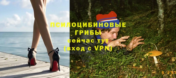 прущий лед Вязьма