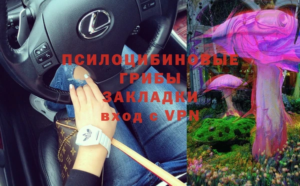дурь Гусев