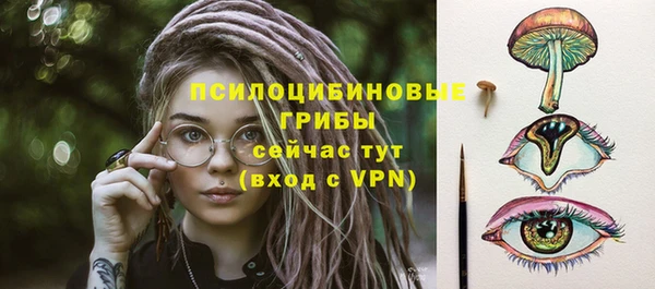 прущий лед Вязьма