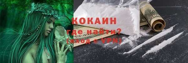 дурь Гусев