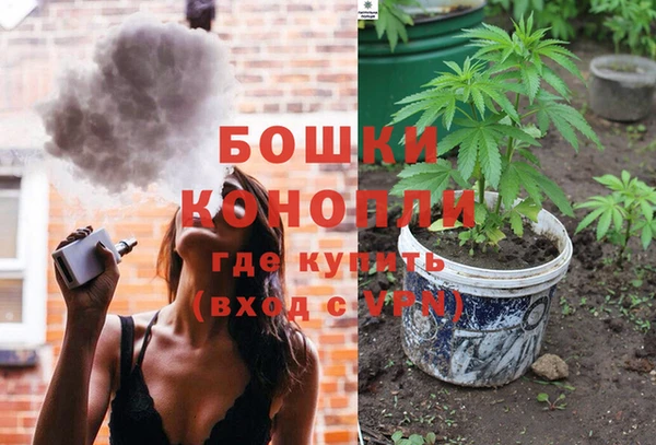 ешки Вяземский