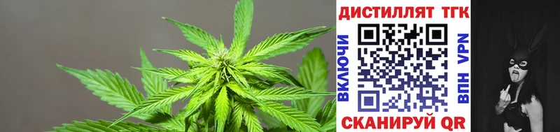 купить  сайты  Жуков  Дистиллят ТГК вейп 