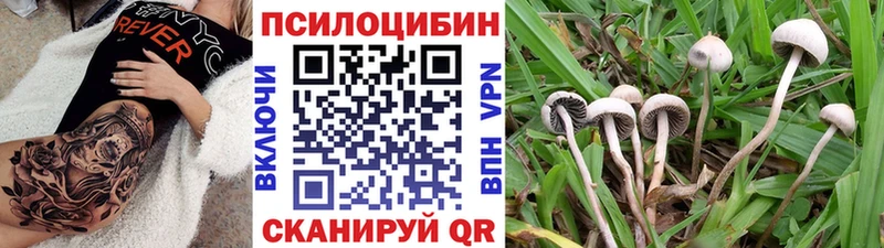 Псилоцибиновые грибы GOLDEN TEACHER  Жуков 